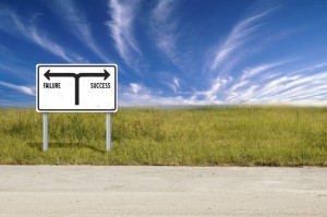 business failure & success, organizational vision