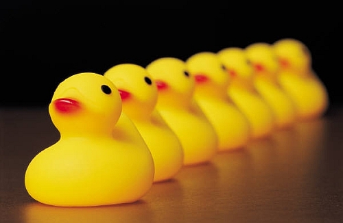 Ducks in a row-SS