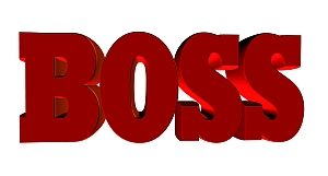 the word boss written in red letters