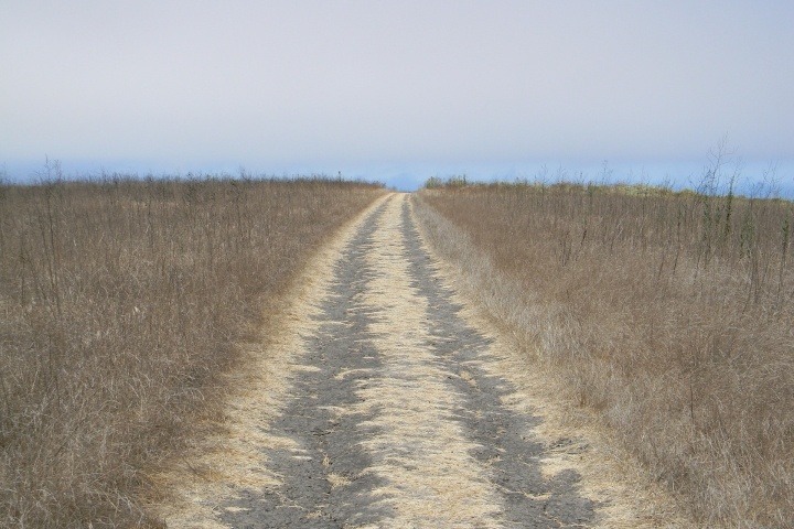 path through a rural road